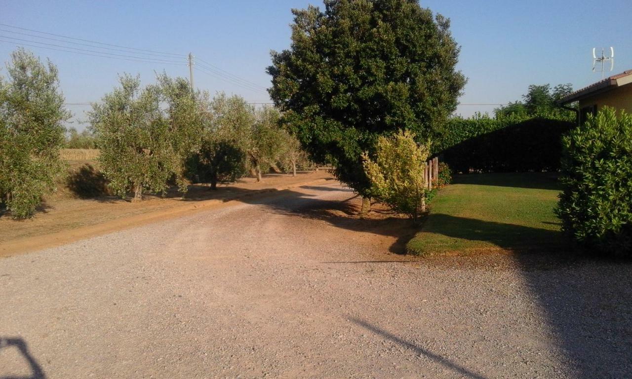 فيلا Monolocale Con Giardino كاستيغليون ديلا بيسكايا المظهر الخارجي الصورة